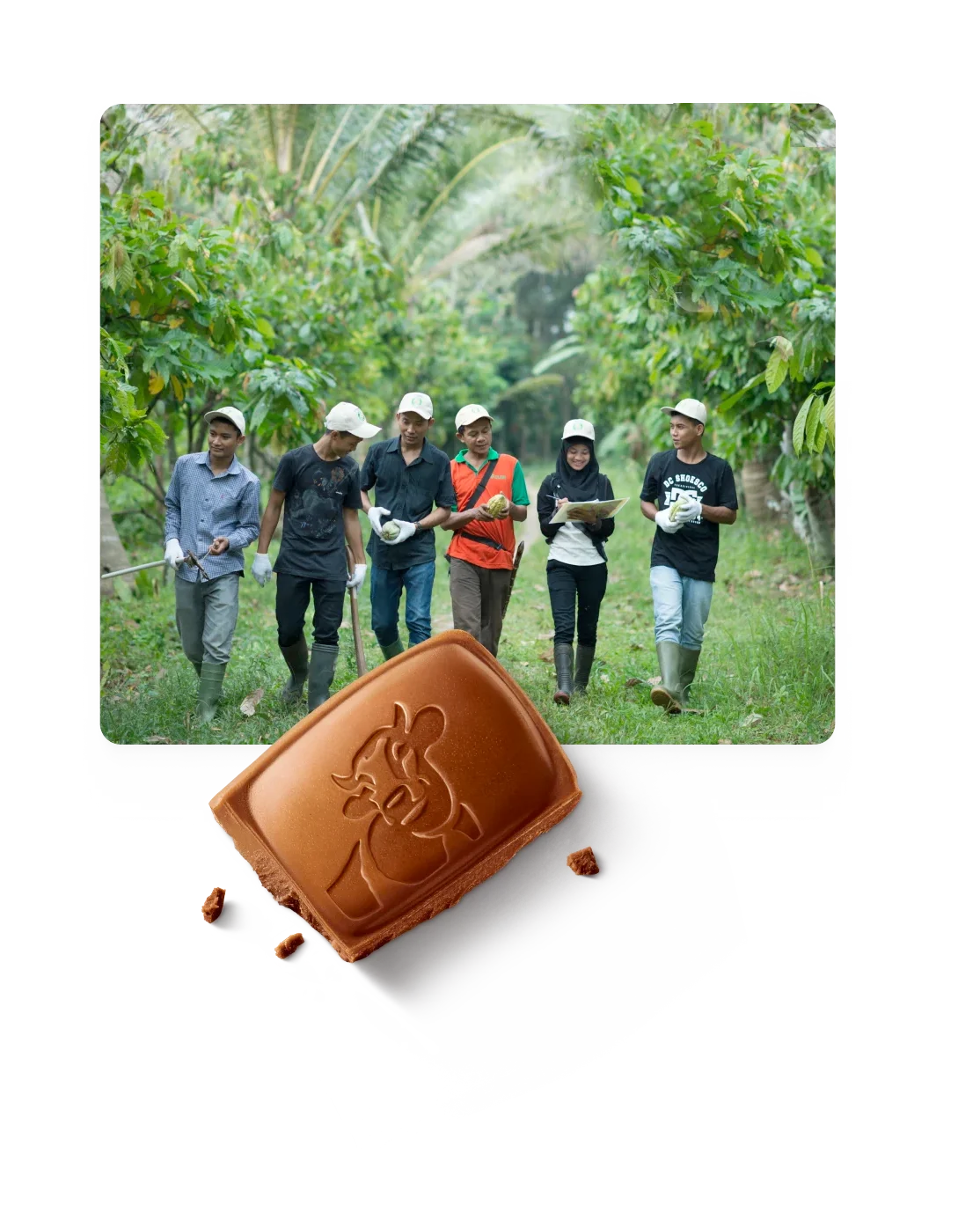 A thoughtful journey from the Alps and cocoa regions to every pack